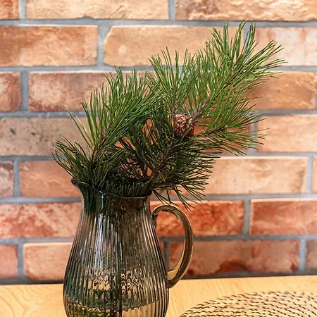 Apartman Kosodrzewina *