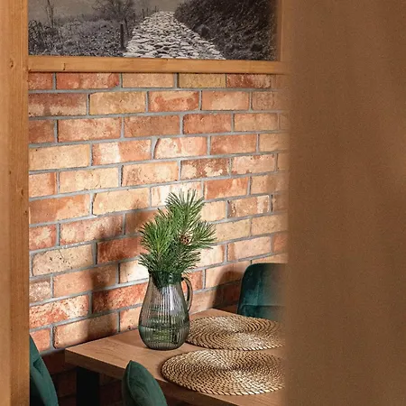 Апартаменты Kosodrzewina Закопане