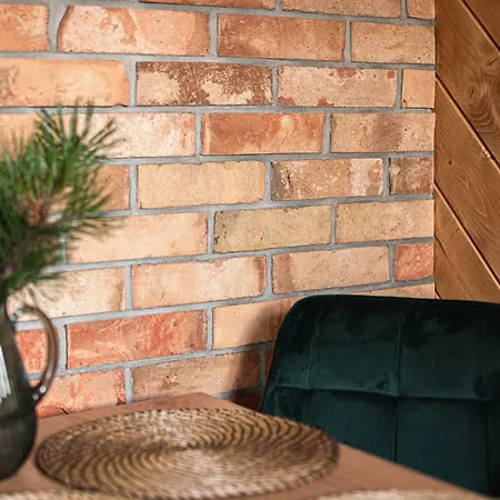 Kosodrzewina Apartment *